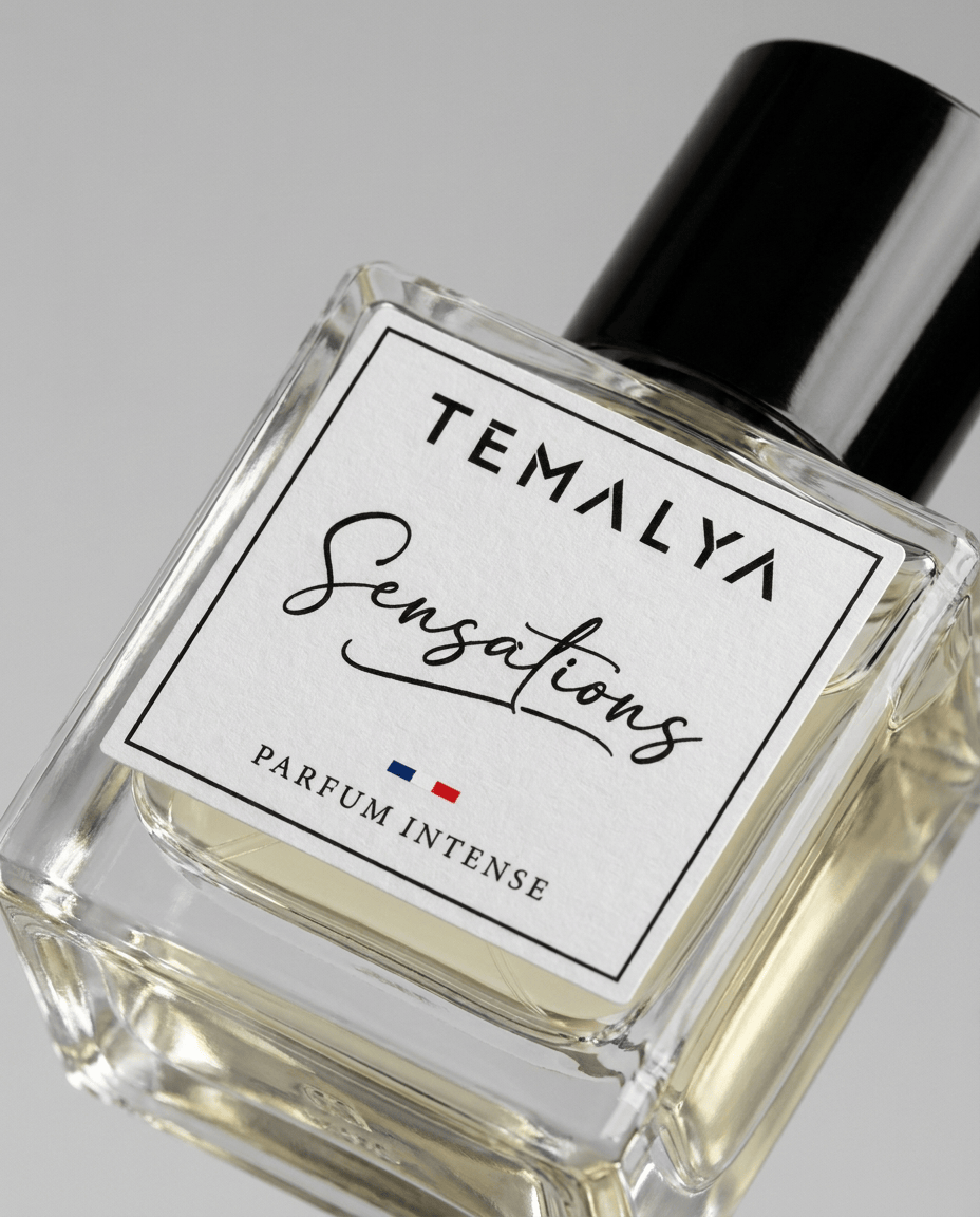 SENSATION – Image 2